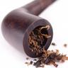 Tabac sylvestre